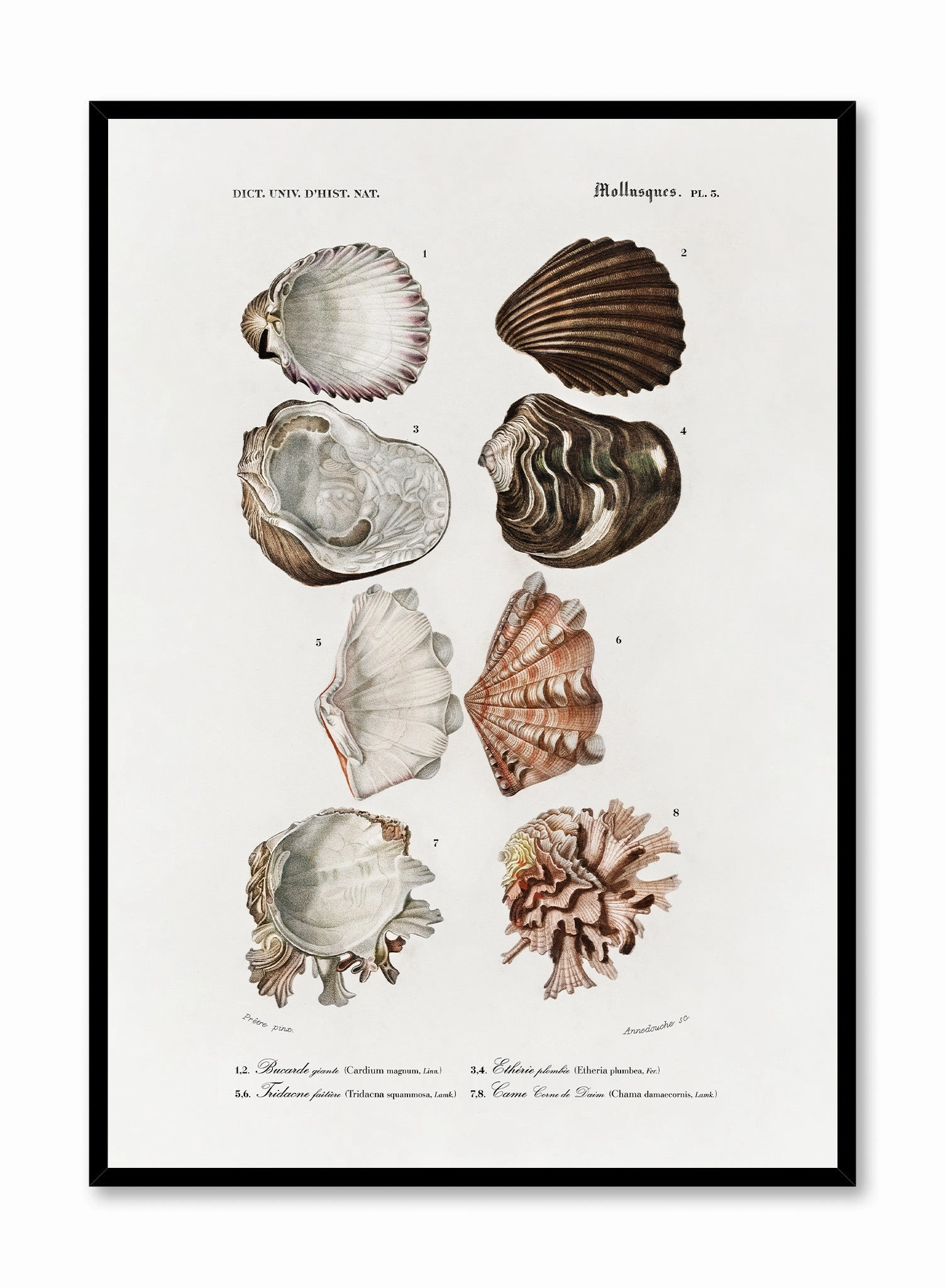 Tidepool Treasures, Posterpop culture themed posters