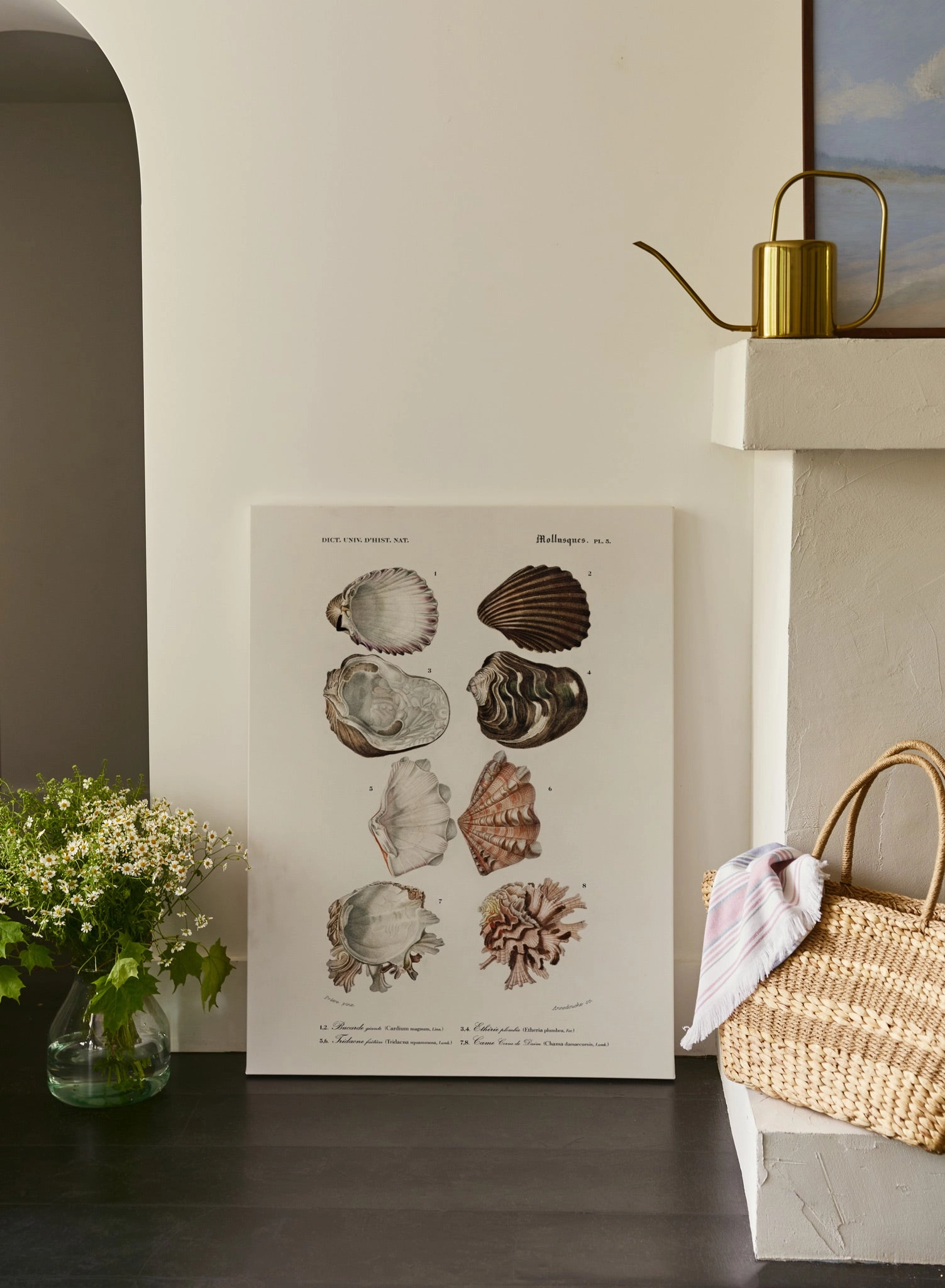 Tidepool Treasures, Poster