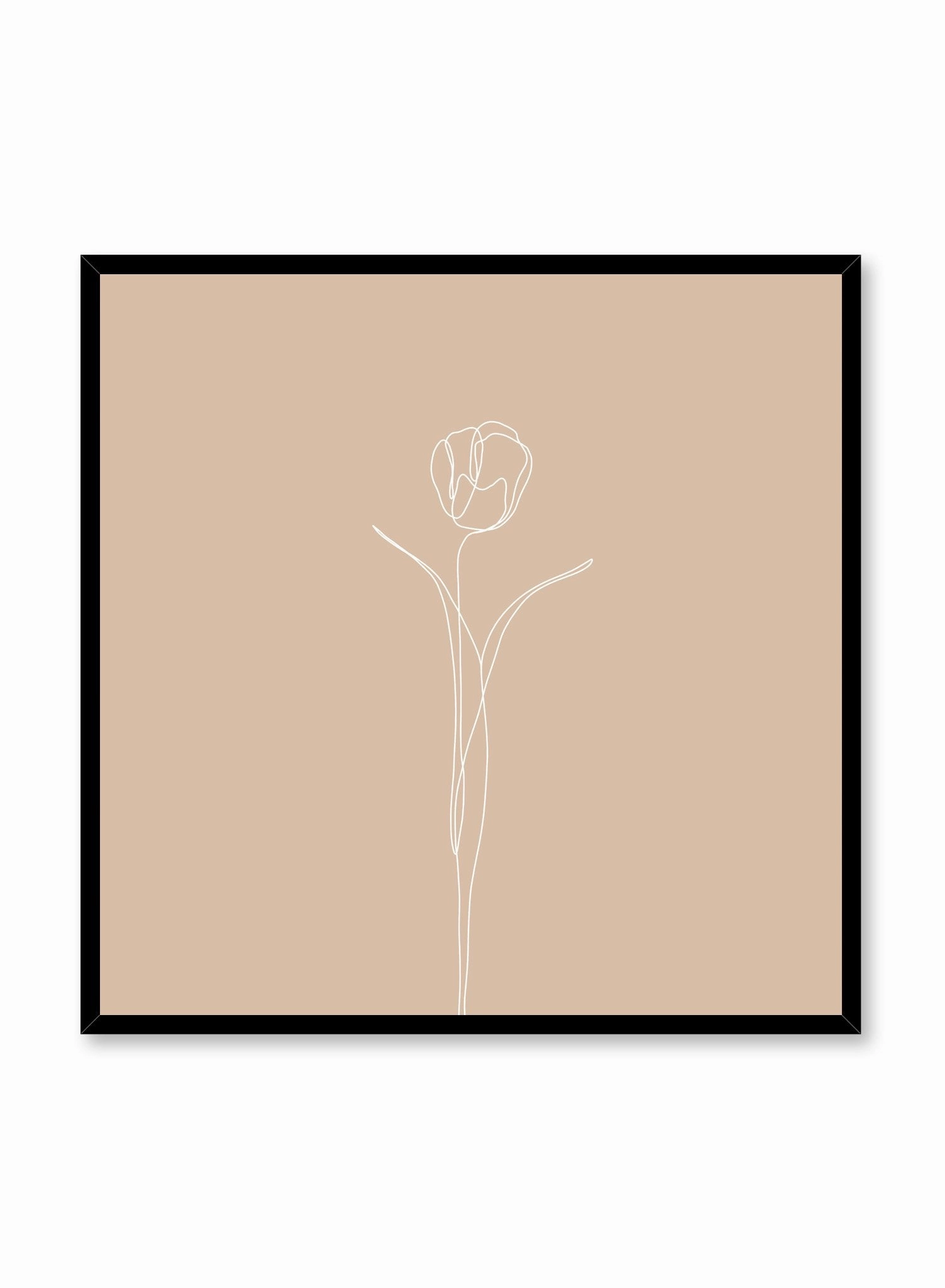 Tulip in Beige, Poster