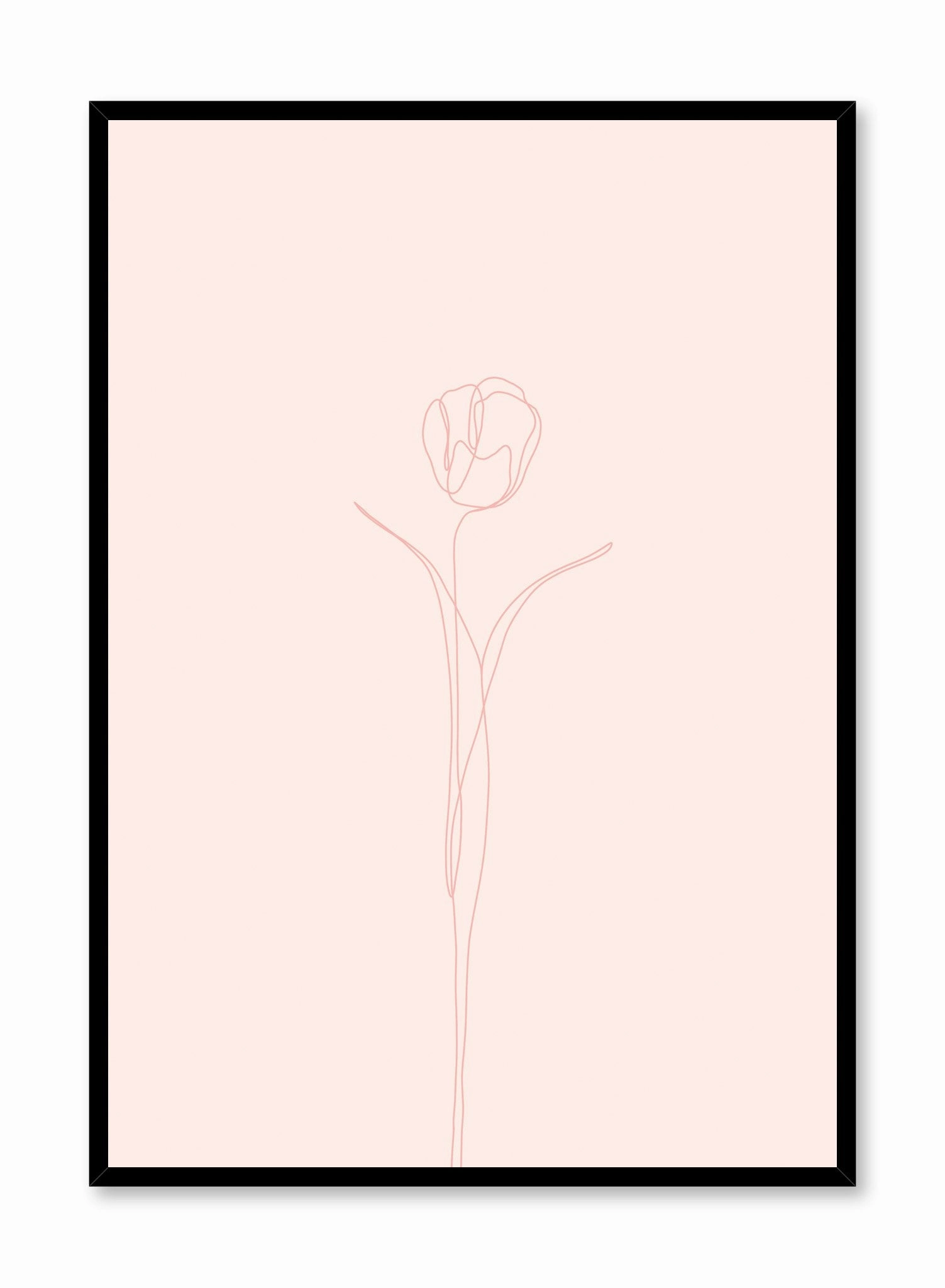 Tulip in Pink, Posterpop culture themed posters