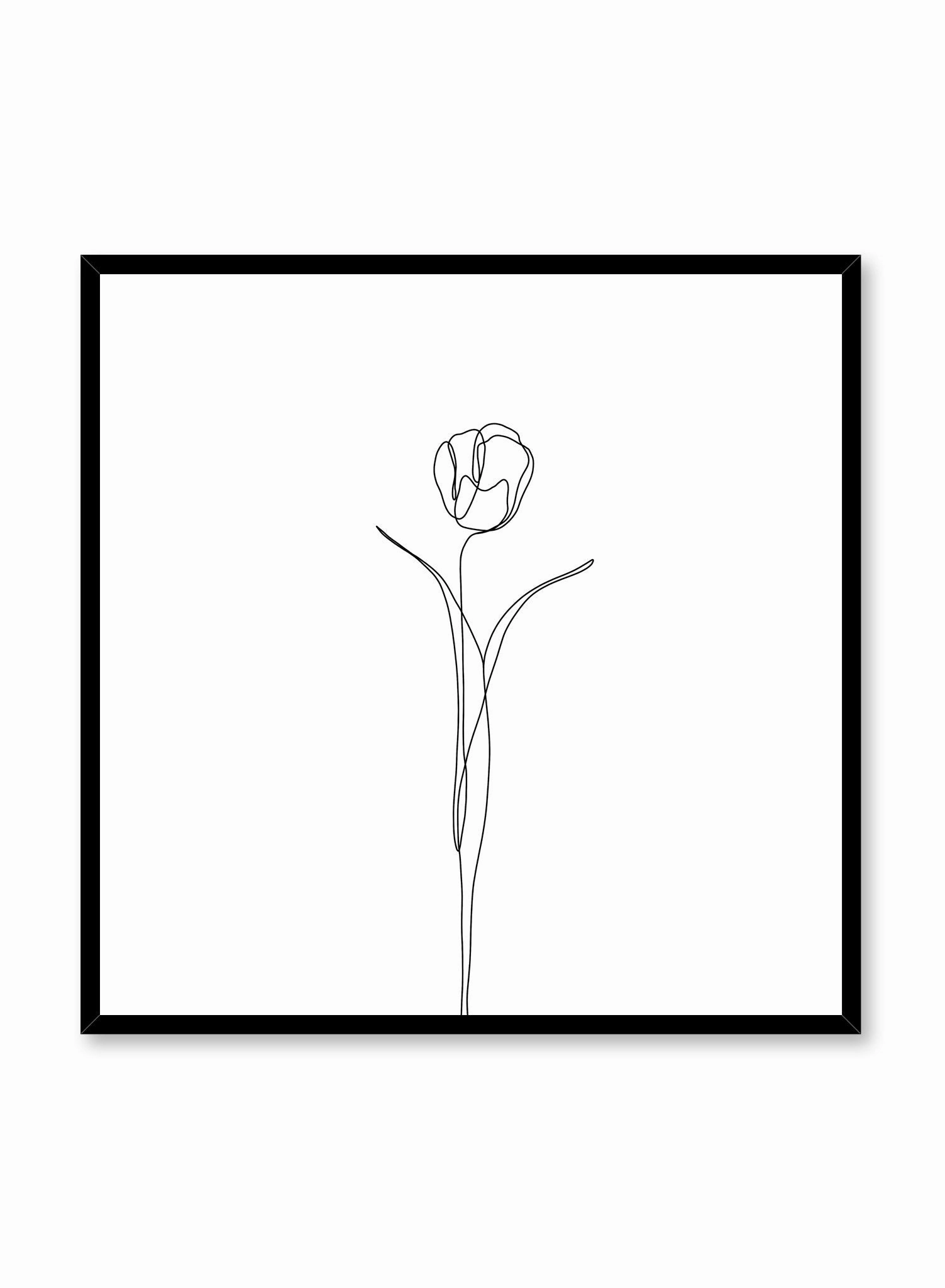 Tulip, Poster