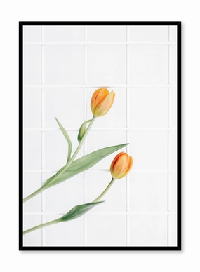 Tulips in Arabesque, Posterpop culture themed posters