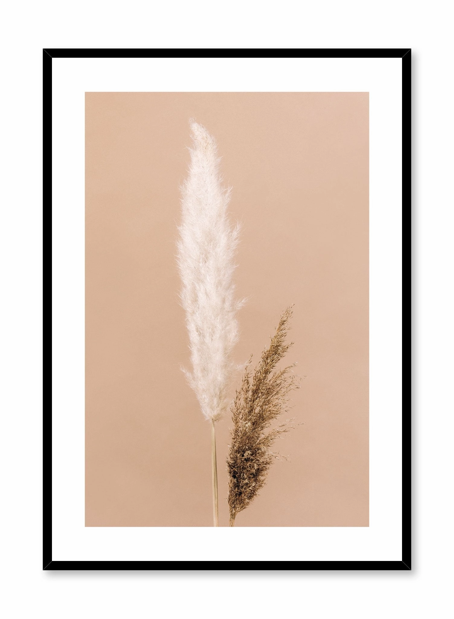 Two-Toned Grasses, Posterpop culture themed posters