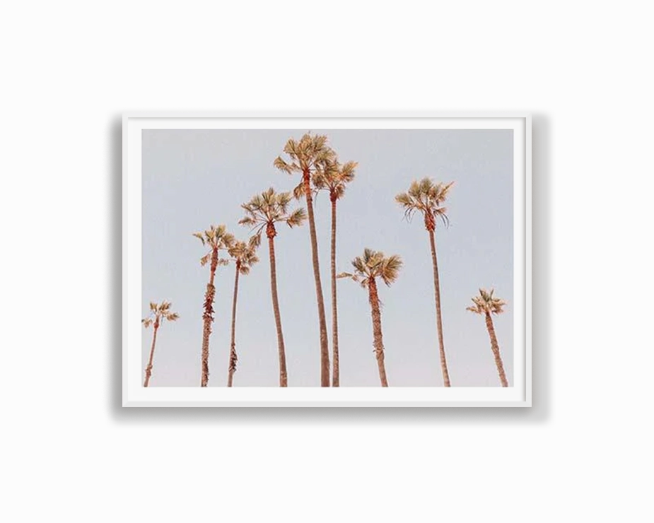 Venice Beach Palms 1
