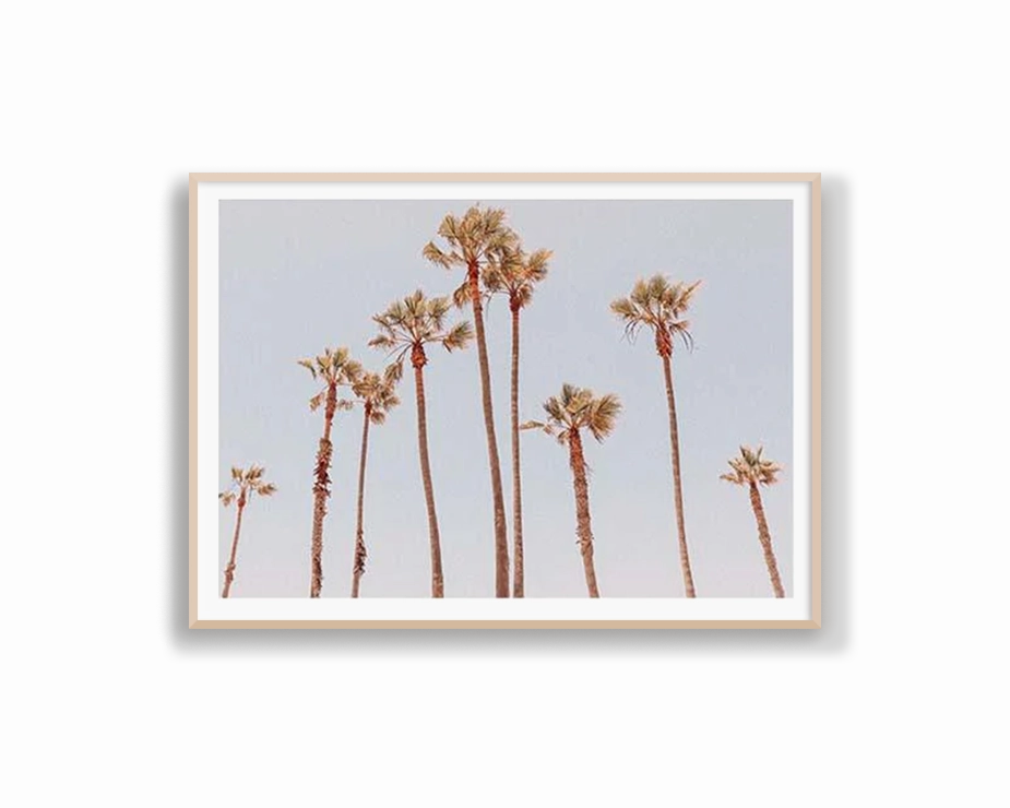 Venice Beach Palms 1