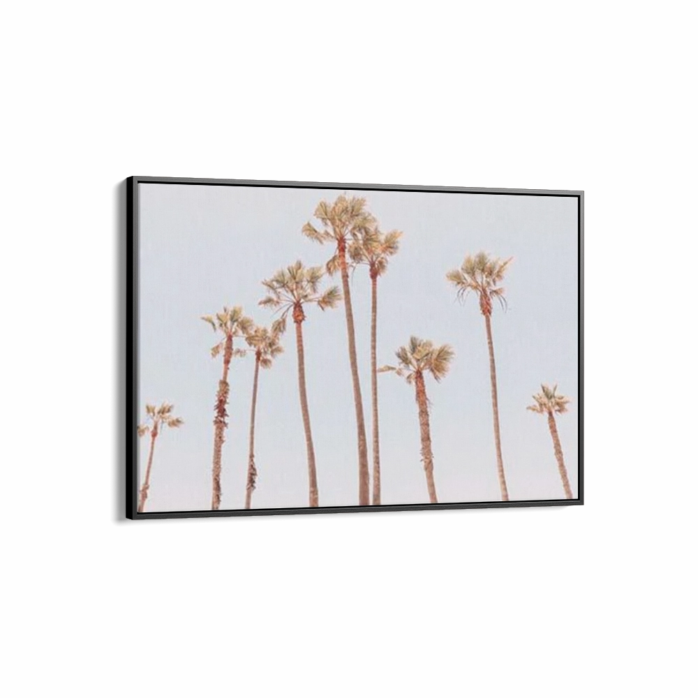 Venice Beach Palms 1