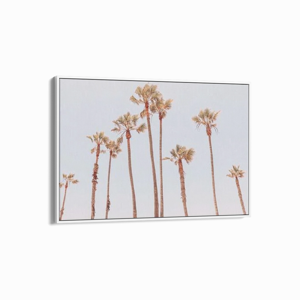 Venice Beach Palms 1