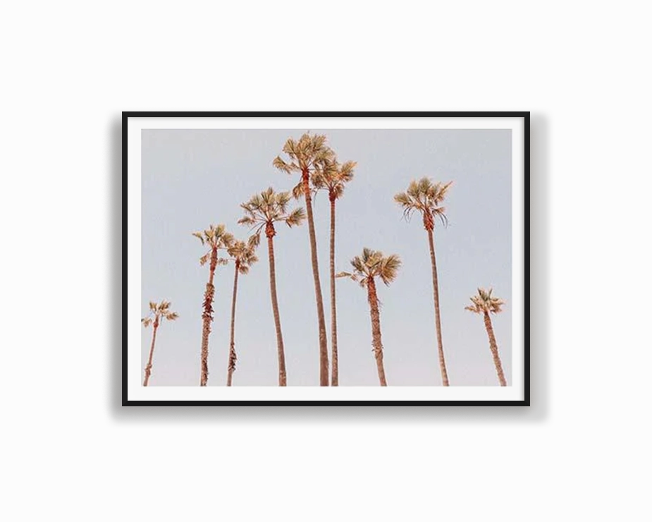 Venice Beach Palms 1nordic style wall decor