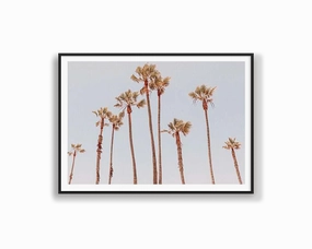Venice Beach Palms 1nordic style wall decor