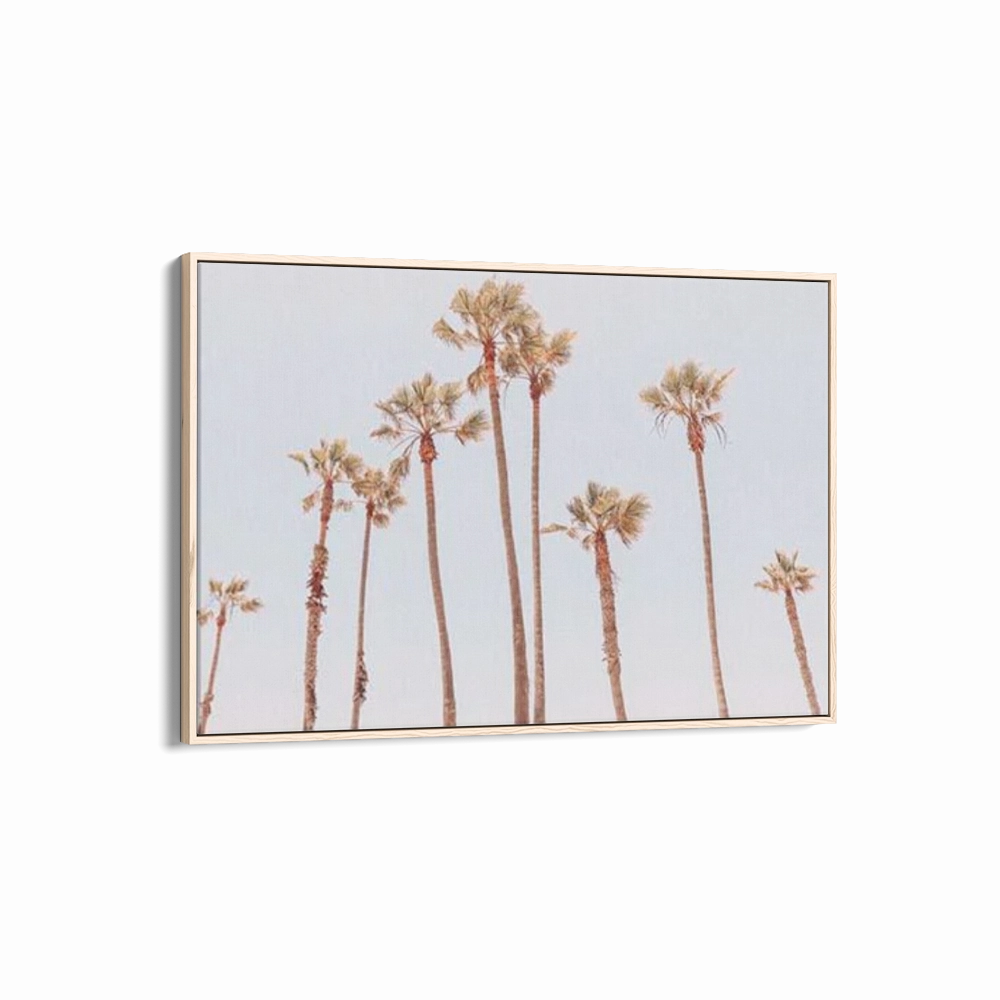 Venice Beach Palms 1