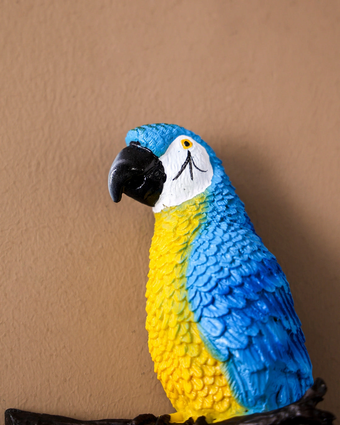 Wall Mounted Tropical Macaw Figurine
