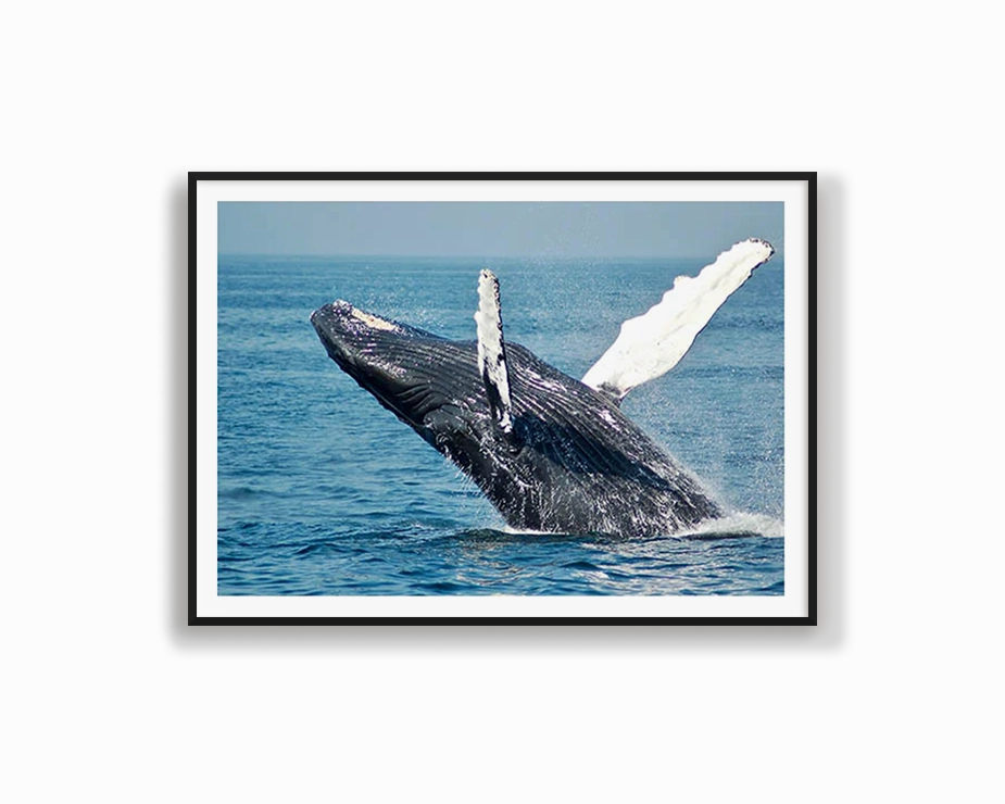 Whale Breachingmodern abstract painting decor