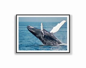 Whale Breachingmodern abstract painting decor