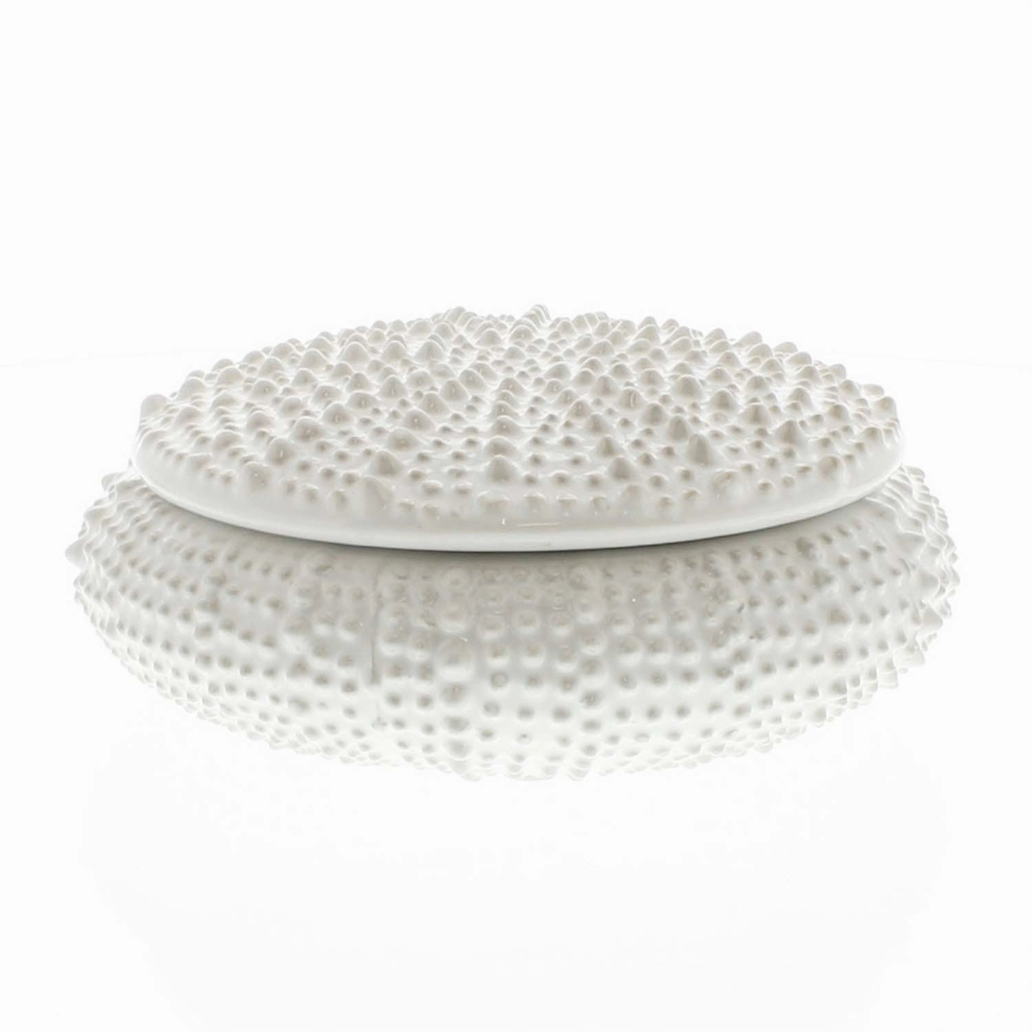 White Urchin Boxbedding sets ,throw blankets 