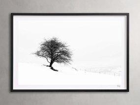 Winter III  Framed Printnordic style wall decor
