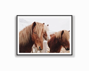 Winter Poniesmodern abstract painting decor