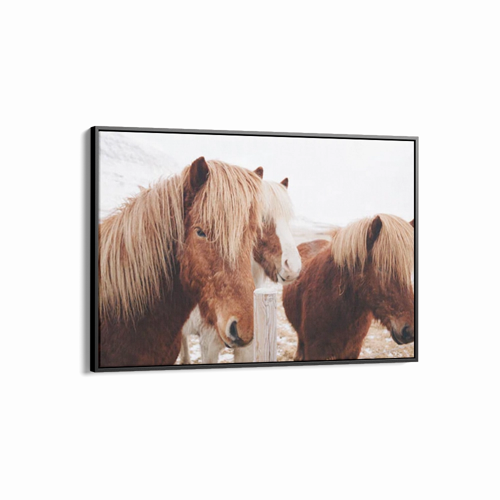 Winter Ponies